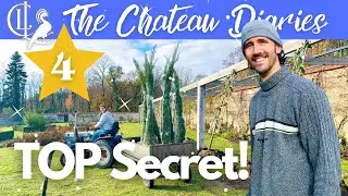 A Sneak Peek at our SECRET PROJECT for TV + FINISHING the Walled Garden Planting before Winter ❄️