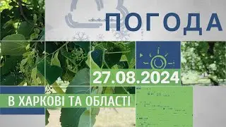 Прогноз погоди в Харкові та Харківській області на 27 серпня
