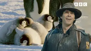 Andy and the Emperor Penguins | Andy's Global Adventures | Andy's Amazing Adventures
