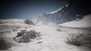 Ghost recon