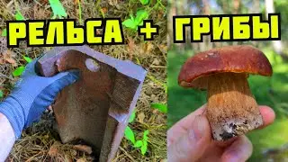 PLASTILIN. НАШЕЛ РЕЛЬСУ! ПОИСК МЕДИ И МЕТАЛЛОЛОМА В ЛЕСУ. СБОР БЕЛЫХ ГРИБОВ. КАК ЗАРАБОТАТЬ ДЕНЬГИ
