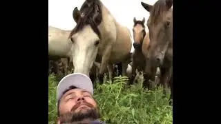 YER GUVOHLIK BERADI