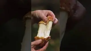 🧀THE Cheeseburger (Lamb) | Recipe | Almazan Kitchen🍔