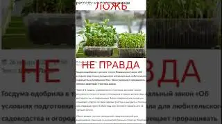 Запретили выращивать рассаду?