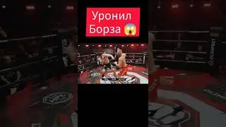 Саид БОРЗ Абдулгазиев упал в нокдаун #shorts