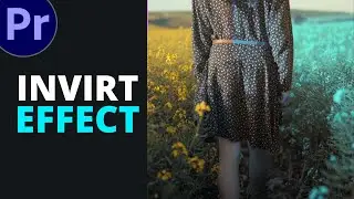 INVERT EFFECT IN ADOBE PR