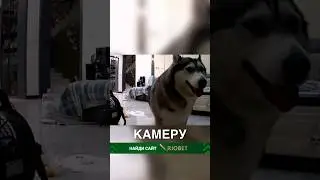 Разоблачение хулигана 😂❤️ 