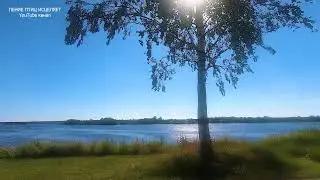 ПЕНИЕ СОЛОВЬЯ И ТЕКУЩАЯ ВОДА ОЧЕНЬ ХОРОШО СНИМАЮТ ТРЕВОГУ И УСПОКАИВАЮТ НЕРВНУЮ СИСТЕМУ.