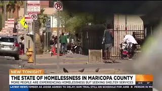 Report: Fewer homeless on streets, more in shelters in Phoenix area