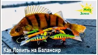 Как Ловить на Балансир. Ловля окуня зимой. Подводная Видеосъемка