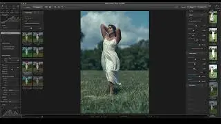 Dehancer Film and Capture One Pro