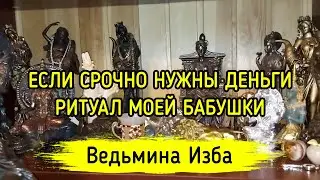 ЕСЛИ СРОЧНО НУЖНЫ ДЕНЬГИ. РИТУАЛ МОЕЙ БАБУШКИ. ДЛЯ ВСЕХ. ВЕДЬМИНА ИЗБА ▶️ ИНГА ХОСРОЕВА