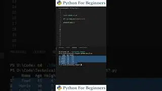 How To Get The First/Last Rows Of A CSV File | Python For Beginners