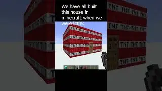 We have all built this house in minecraft #minecraft #roblox #shorts