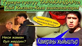 КИРГЕ ТОЛГОН КЫЗЫЛ-КЫЯ ШААРЫНДАГЫ КАФЕЛЕР