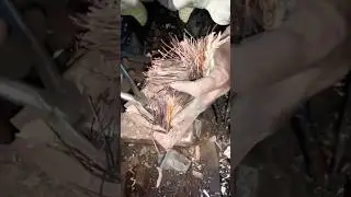 how to remove Transformer copper coil 