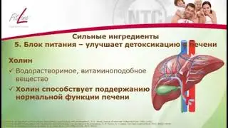 FitLine. Доктор Костина Галина Николаевна. ДЕТОКС ПРОГРАММА