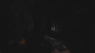 Resident Evil Village - Hound Wolf Squad Secret Cave: Antique Coin, W870 TAC Foregrip, File