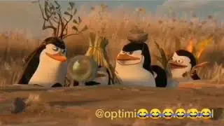 Новая озвучка в мультфильме Мадагаскар
