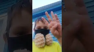 23 мая 2024 г.