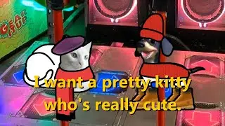 Papas Gatito 25