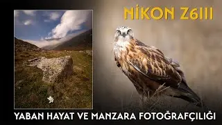 Nikon Z6III  Yaban Hayat ve Manzara Fotoğrafçılığı