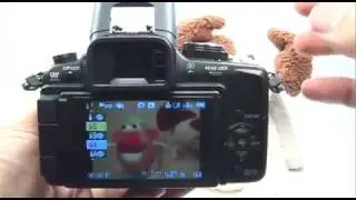Panasonic G1/GH1: Flash