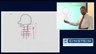 Introducing MRI: Time of Flight Effects and MRA (43 of 56)