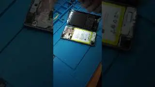 Клиент всегда врет?