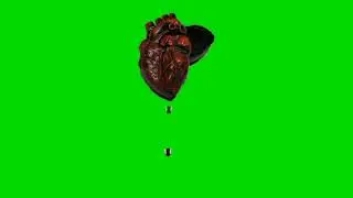 GREEN SCREEN bloody screen animation effects No copyright♏