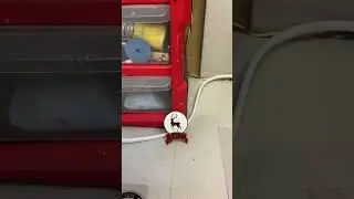 Реставрация лампового магнитофона МАГ-8М-||. Купить ретро магнитофон, радио, радиолу