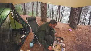 CAMPING in RAIN - Pine Forest - Rain ASMR