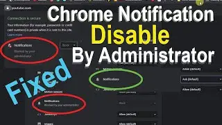How To Fix Chrome Notifications Disabled by Administrators