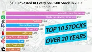 Top 10 Stocks Over 20 Years  |  $100 Invested In Every Stock