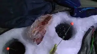 Рыбалка на корюшку, Финский залив сейчас. Северный форт.