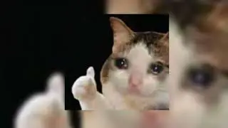 Notion (sped up)