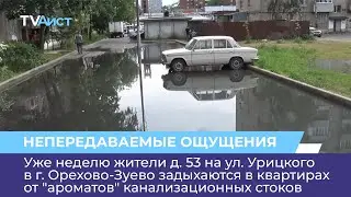 Уже неделю во дворе д. 53 на ул. Урицкого в г. Орехово-Зуево разливается канализация