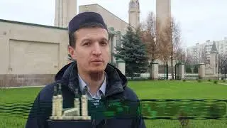 Газон