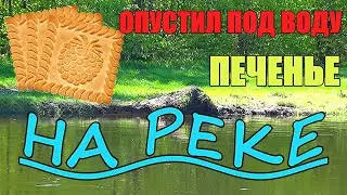 Кормим рыбу. РЕАКЦИЯ РЫБЫ НА ПЕЧЕНЬЕ!!! Подводная съёмка.