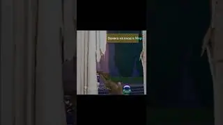 баг с кавехом в геншин 