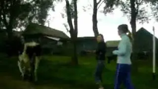 Chuvash village 12