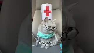Почему у кота висит кожа на животе 
