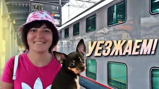 Сочи Vlog: С собакой в поезде • Двухэтажный поезд Адлер - Москва №104 • Обзор поезда