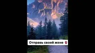 Праведная жена…