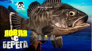 Русская рыбалка 4. 🎣🦈 Норвежское море 🧜‍♂️ ЛОВЛЯ с БЕРЕГА 🐋💦 👀
