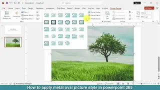 How to apply metal oval picture style in PowerPoint 365