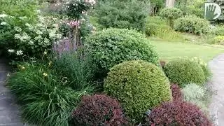 Видео журнал 