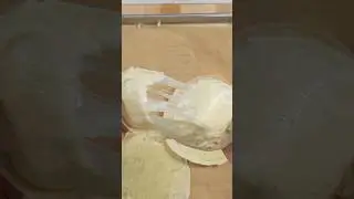 I washed my cheese to see what happens 🧀 