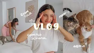 la vida con dos michis, room tour, no me gusta el piso, compra semanal de comida l lau