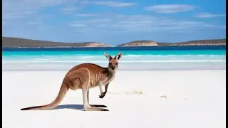 Top 5 beaches that are Real Paradise are at Risk #documentary #beach #science